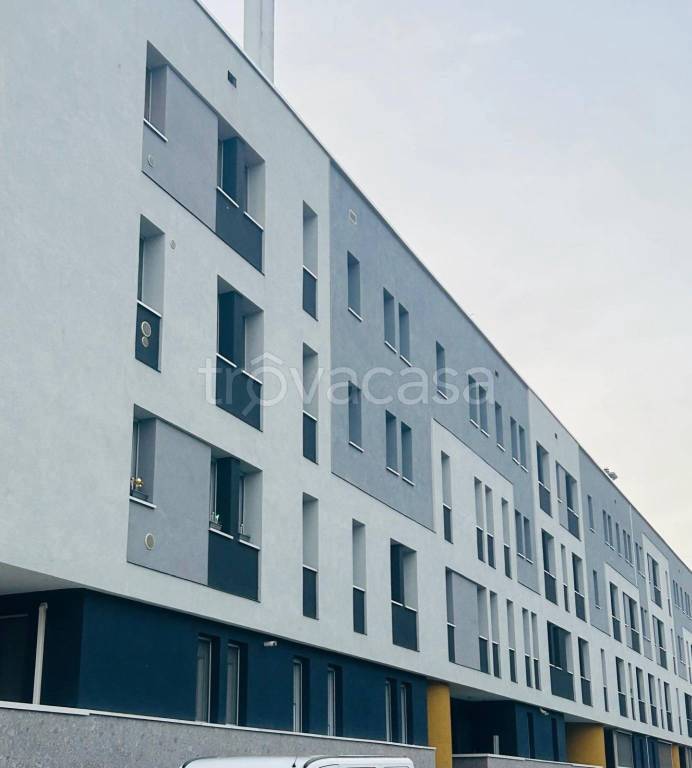 immagine annuncio 6 di 13