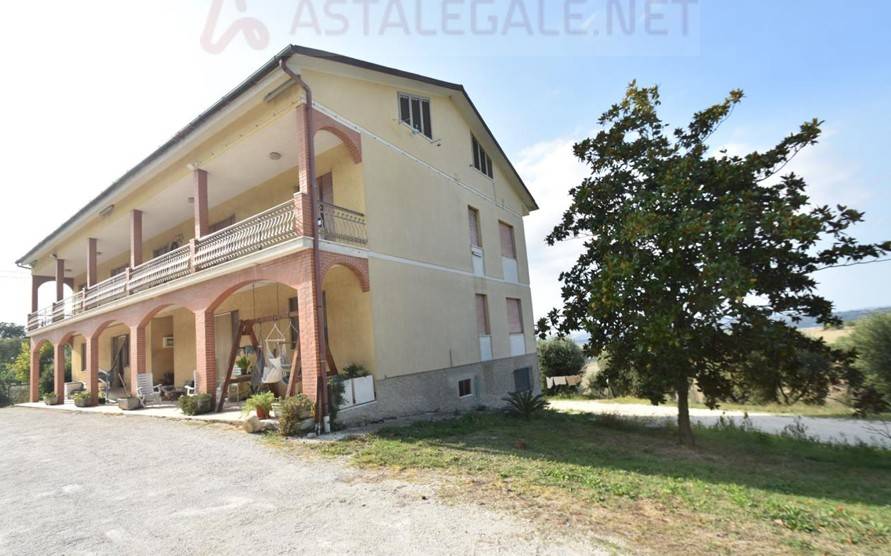 immagine annuncio 2 di 12