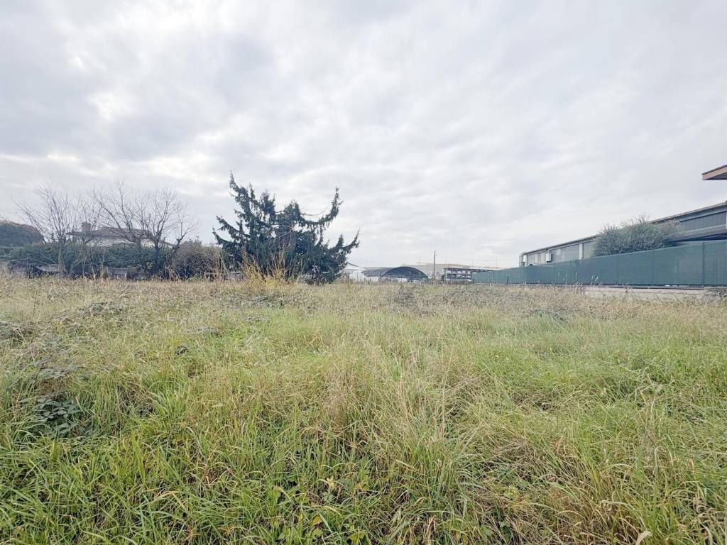 immagine annuncio 3 di 5