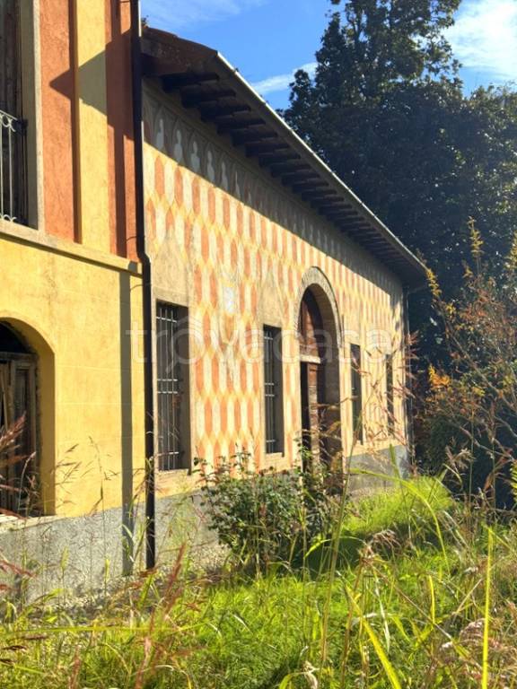 immagine annuncio 12 di 15