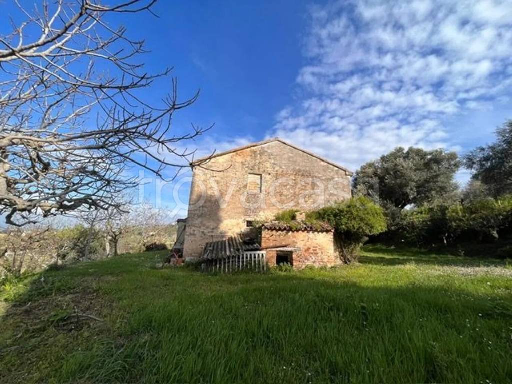 immagine annuncio 1 di 7