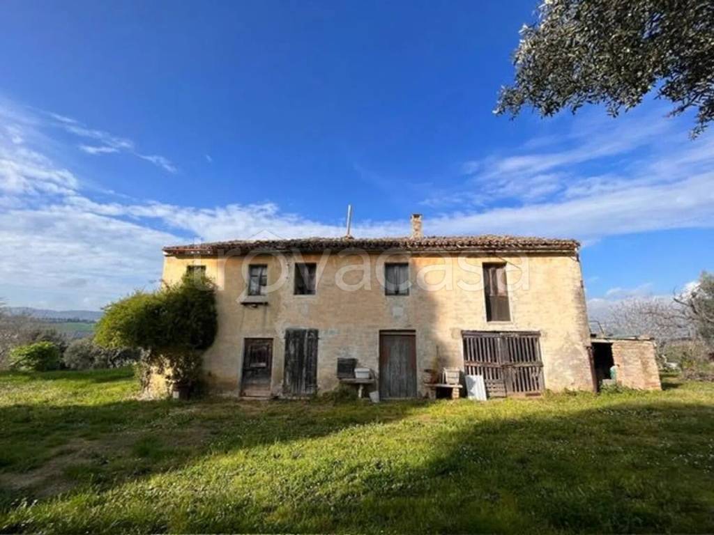 immagine annuncio 2 di 7