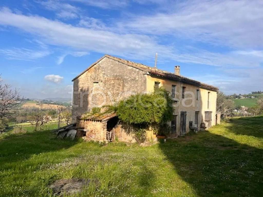 immagine annuncio 3 di 7