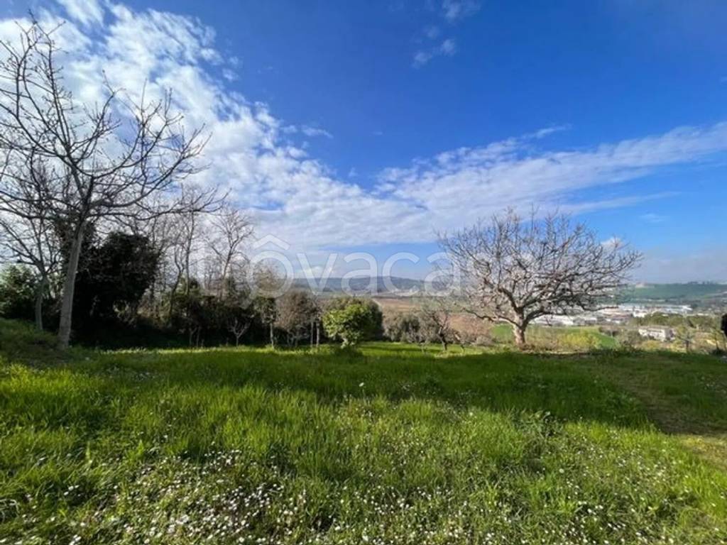 immagine annuncio 5 di 7