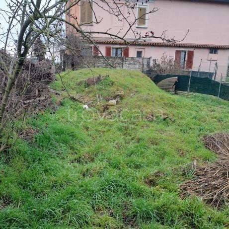 immagine annuncio 9 di 14