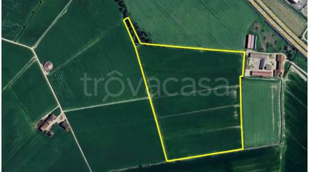 immagine annuncio 11 di 12