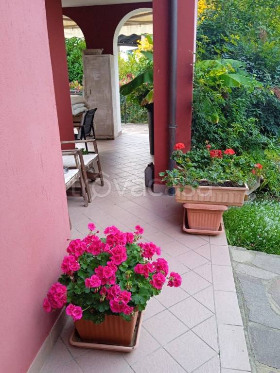 immagine annuncio 5 di 7