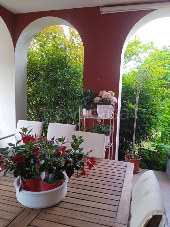 immagine annuncio 6 di 7