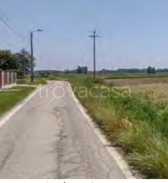 immagine annuncio 5 di 11