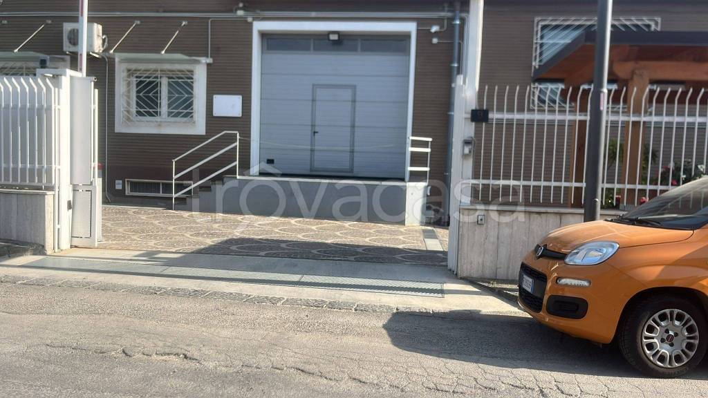 immagine annuncio 10 di 12