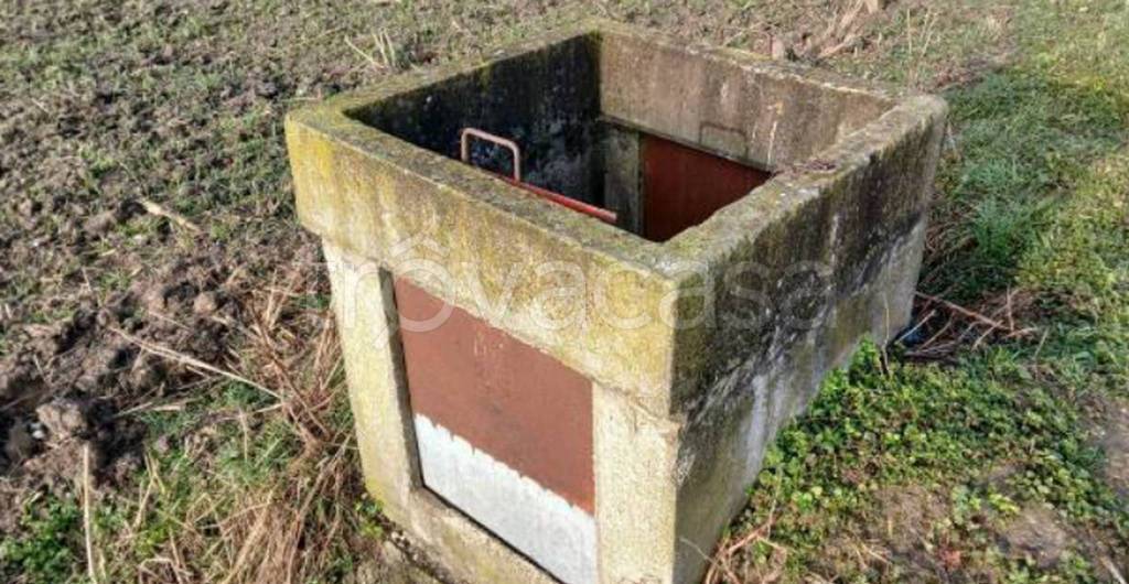 immagine annuncio 2 di 11