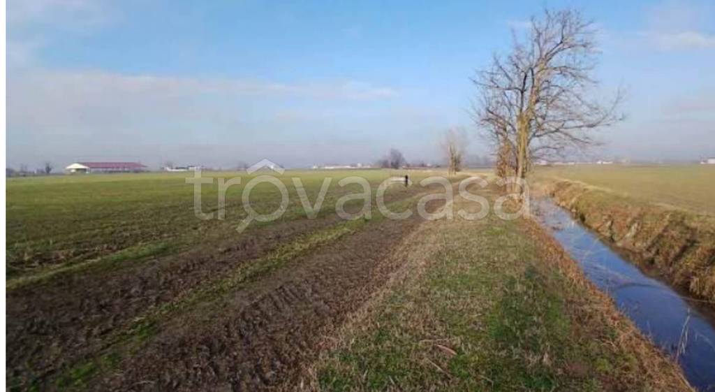 immagine annuncio 6 di 11