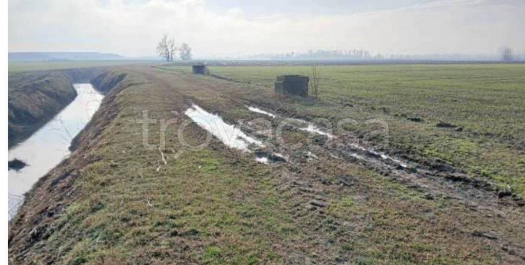 immagine annuncio 9 di 11