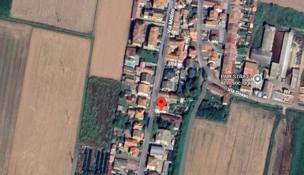 immagine annuncio 3 di 11