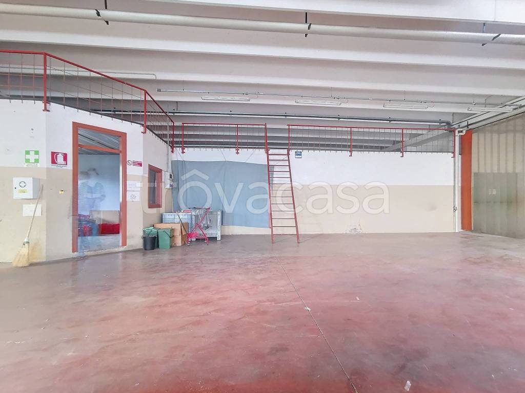 immagine annuncio 8 di 14