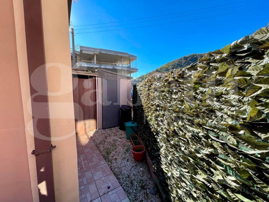 immagine annuncio 3 di 14