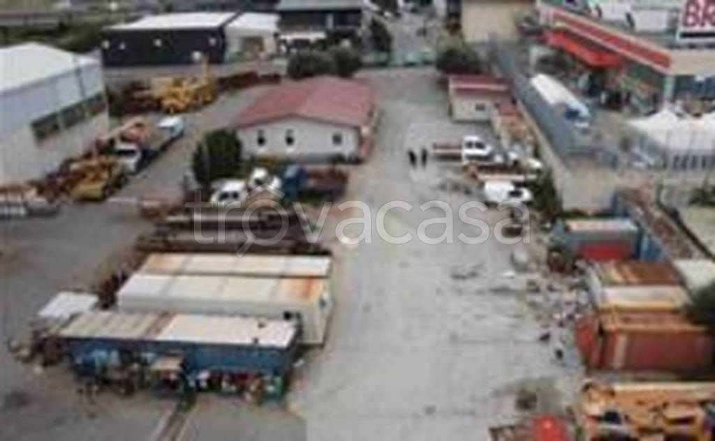 immagine annuncio 3 di 11