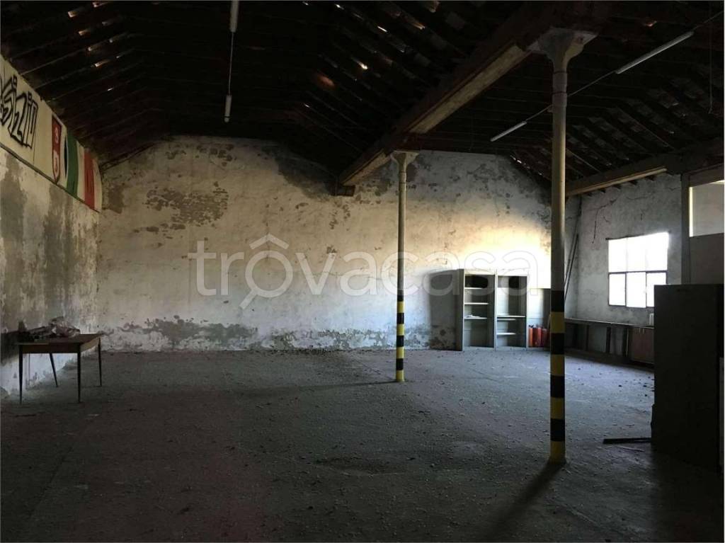 immagine annuncio 9 di 14