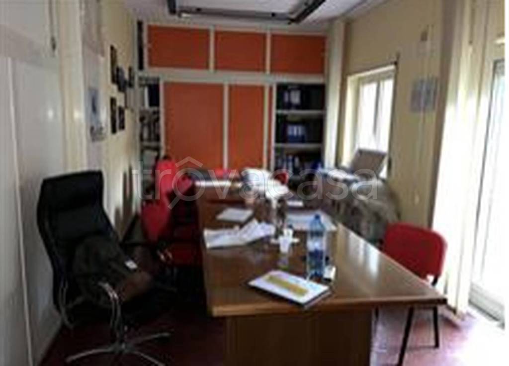 immagine annuncio 7 di 12