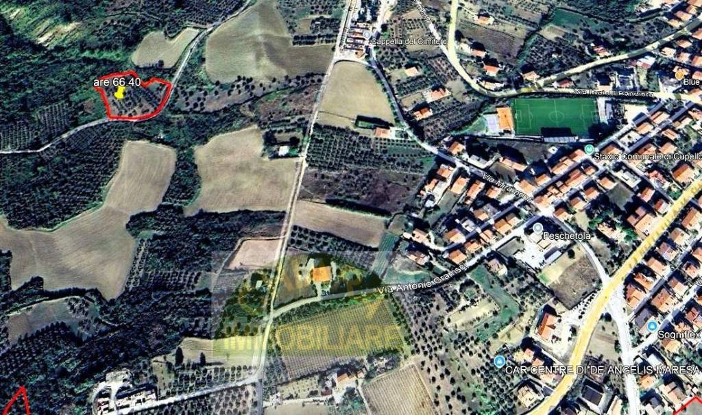 immagine annuncio 2 di 4