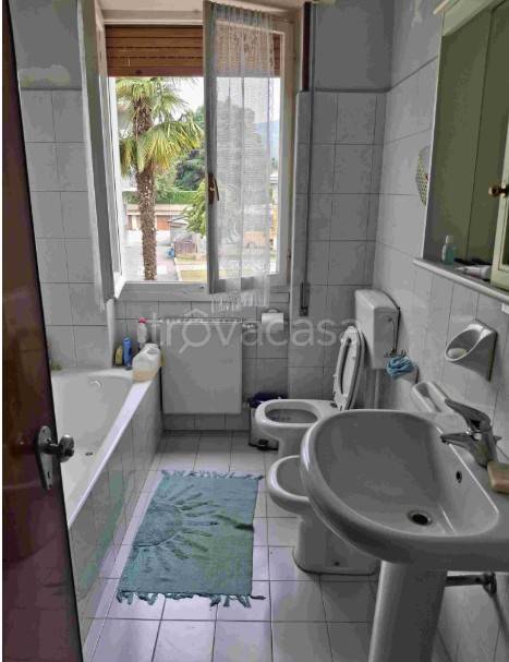 immagine annuncio 5 di 12