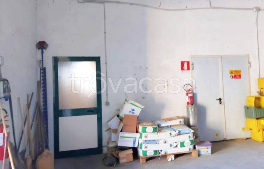 immagine annuncio 9 di 11