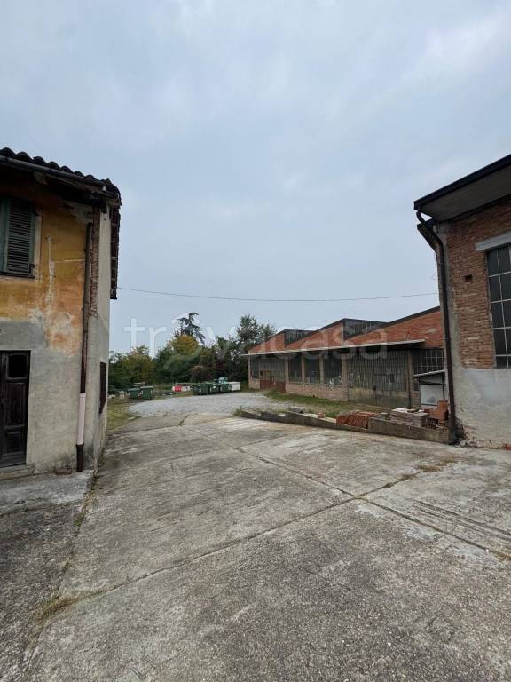 immagine annuncio 3 di 11