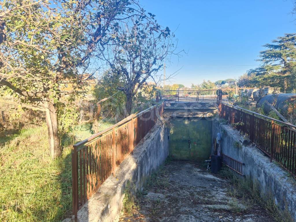 immagine annuncio 3 di 12