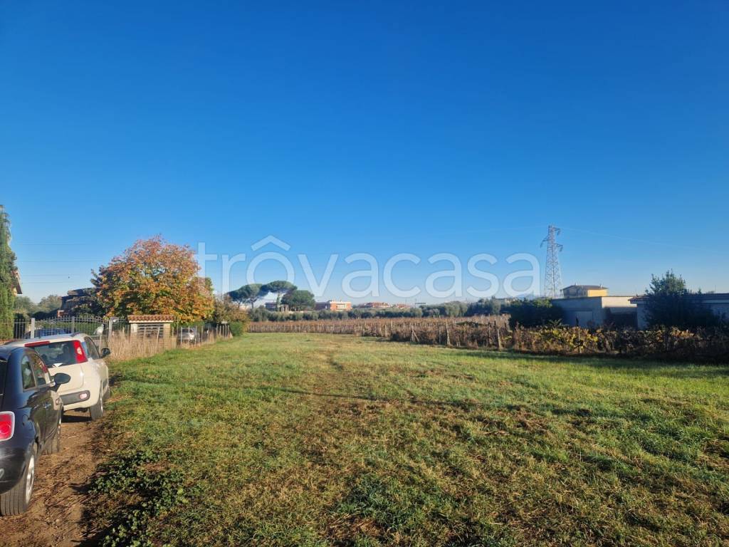 immagine annuncio 2 di 12