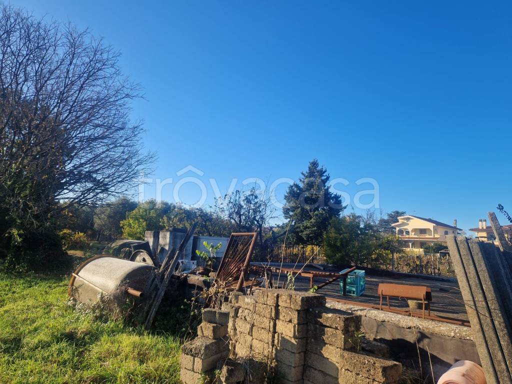 immagine annuncio 4 di 12