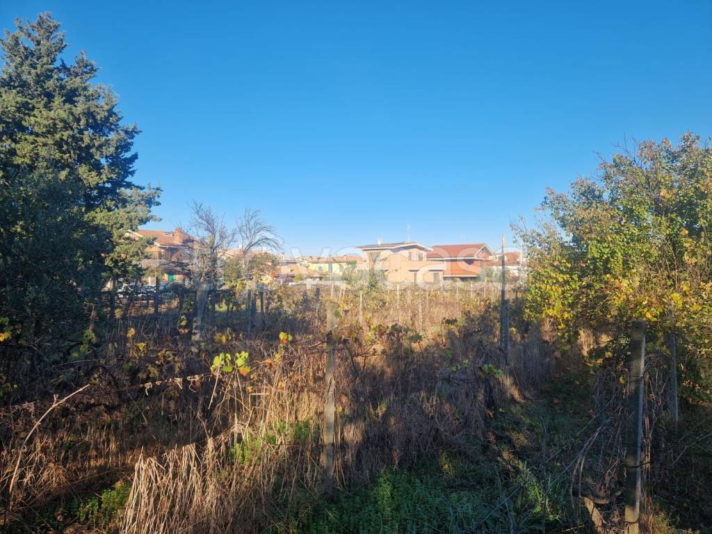 immagine annuncio 6 di 12