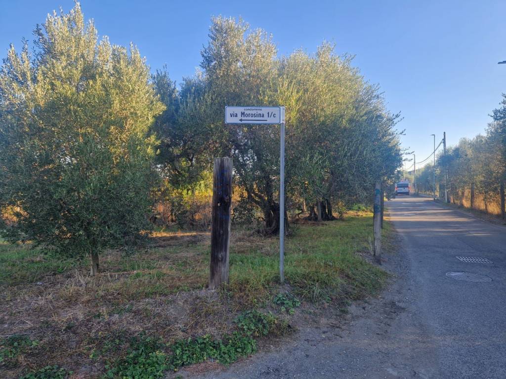 immagine annuncio 8 di 12