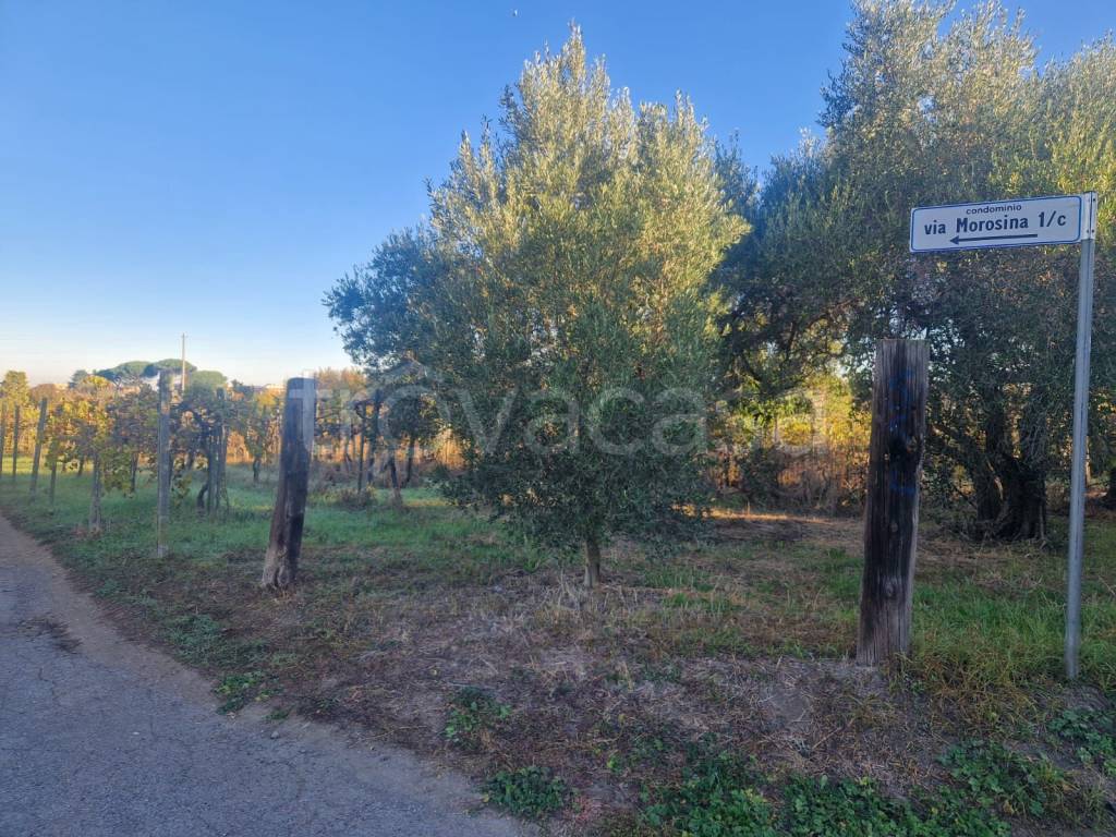 immagine annuncio 9 di 12