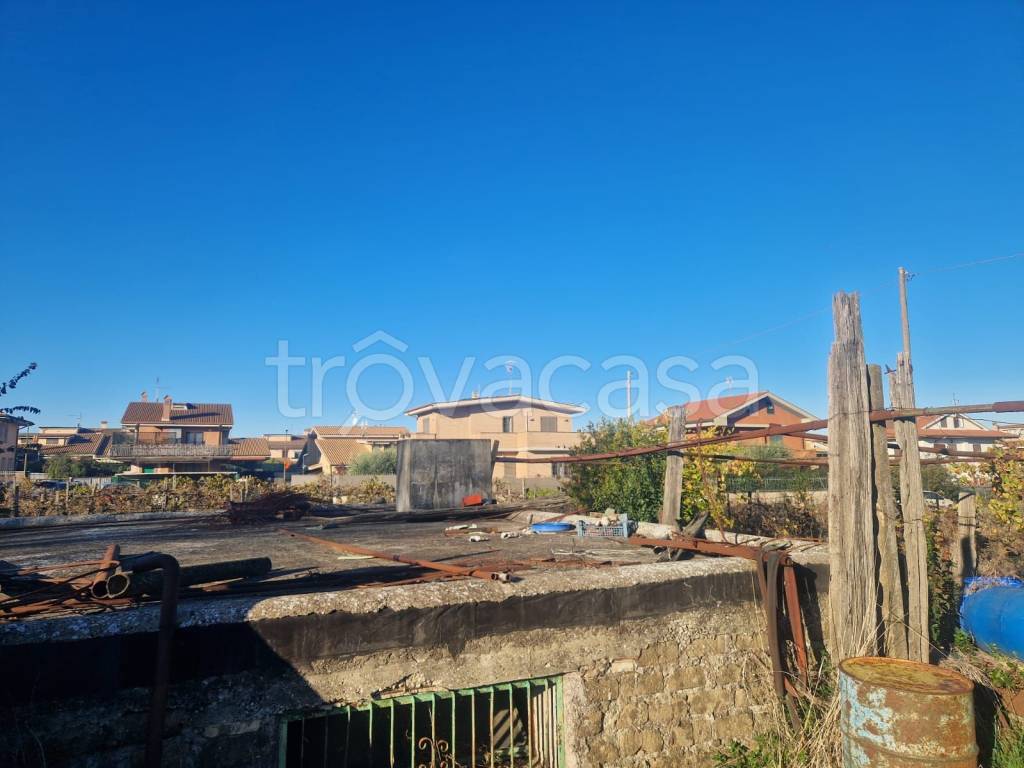 immagine annuncio 11 di 12