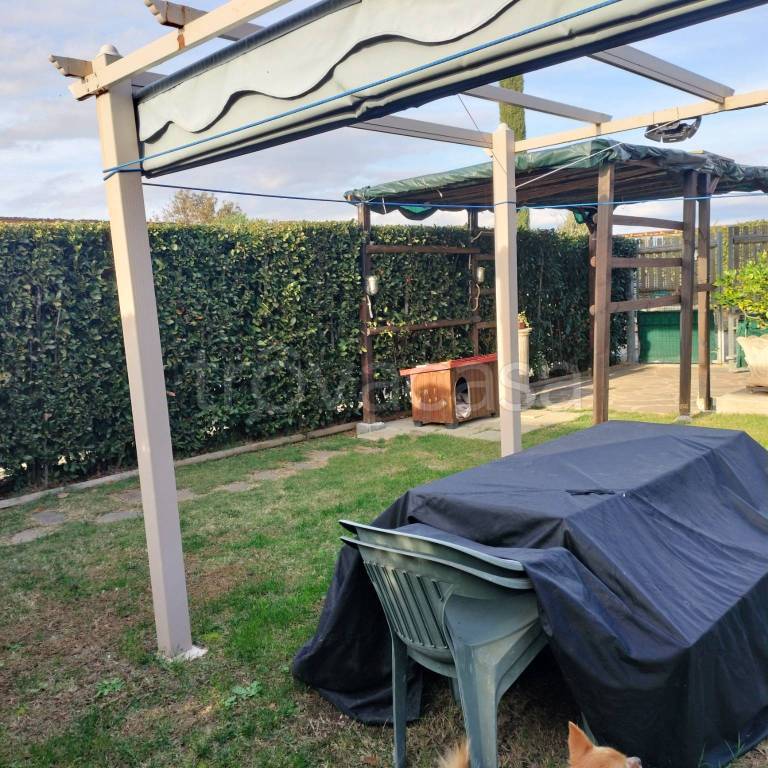 immagine annuncio 11 di 15