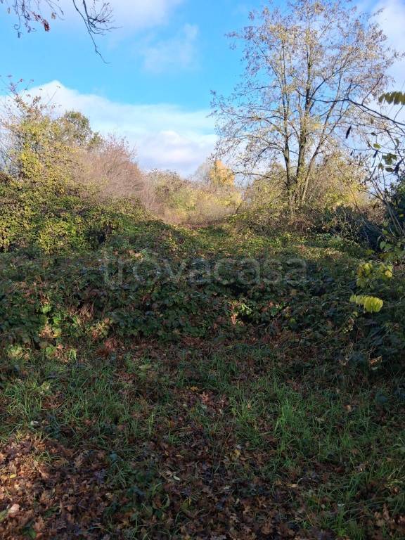 immagine annuncio 1 di 2