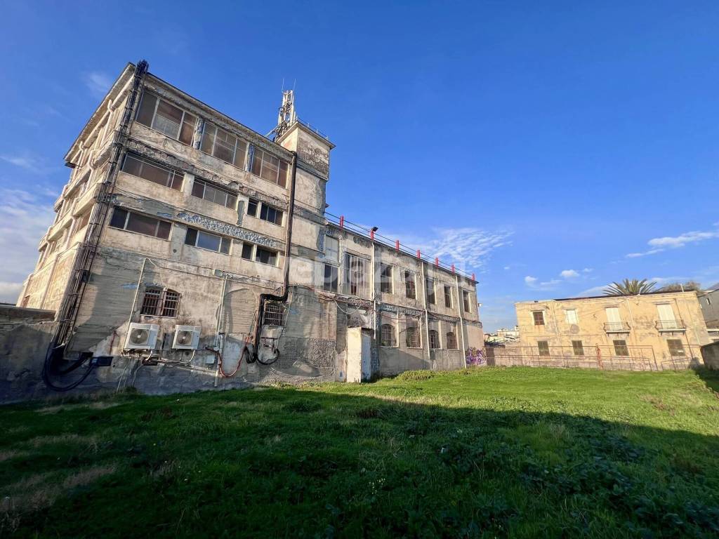 immagine annuncio 2 di 11