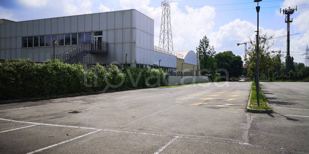 immagine annuncio 6 di 11