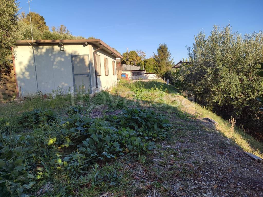 immagine annuncio 1 di 11