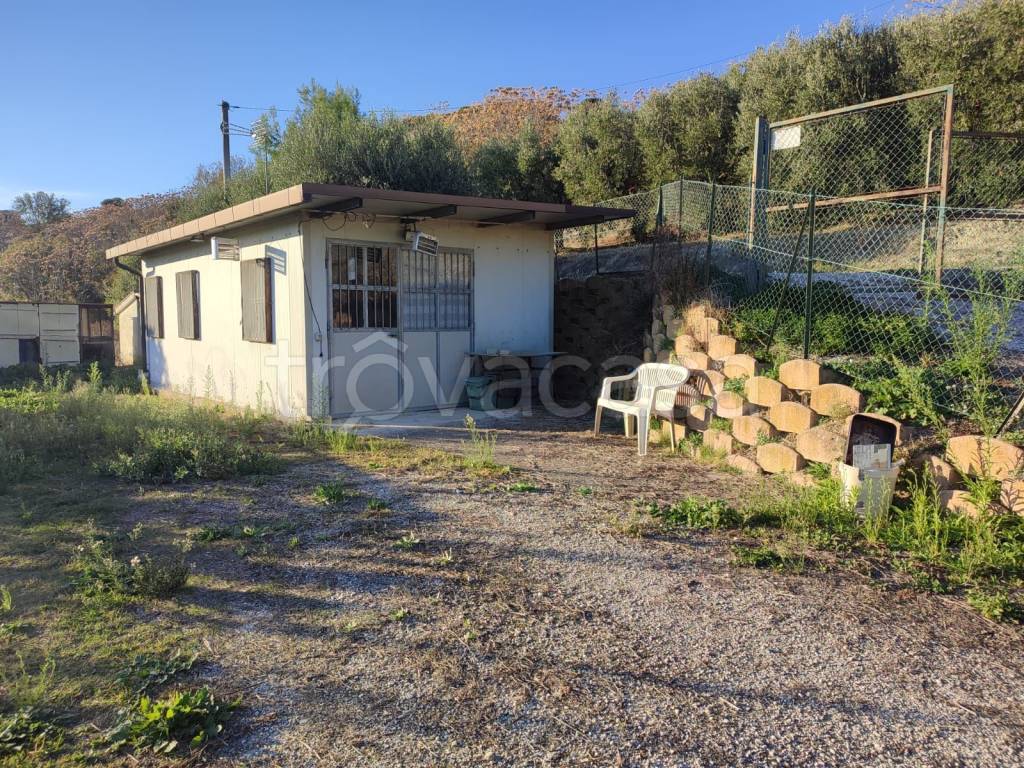 immagine annuncio 4 di 11