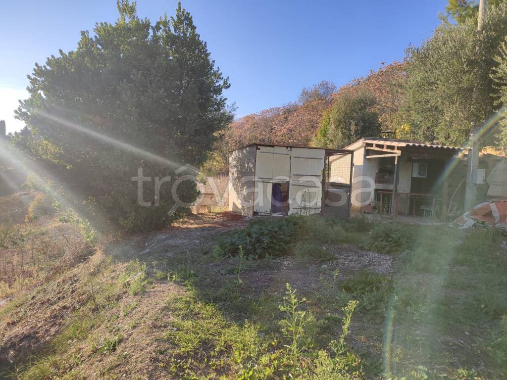 immagine annuncio 5 di 11