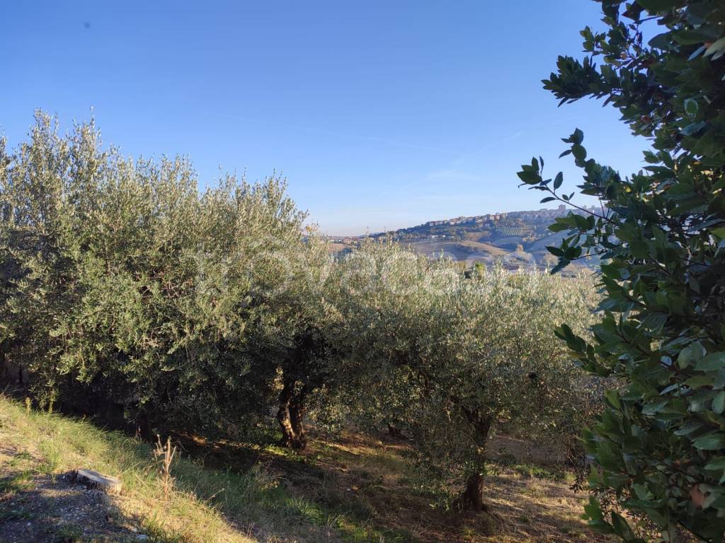 immagine annuncio 6 di 11