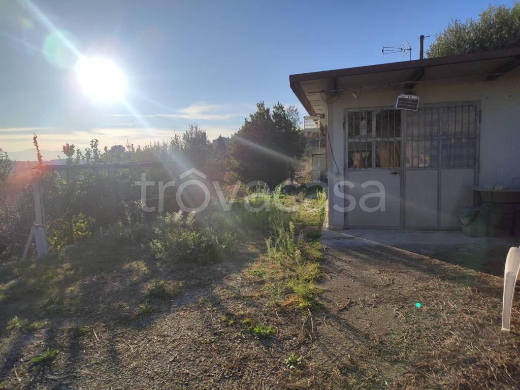 immagine annuncio 7 di 11