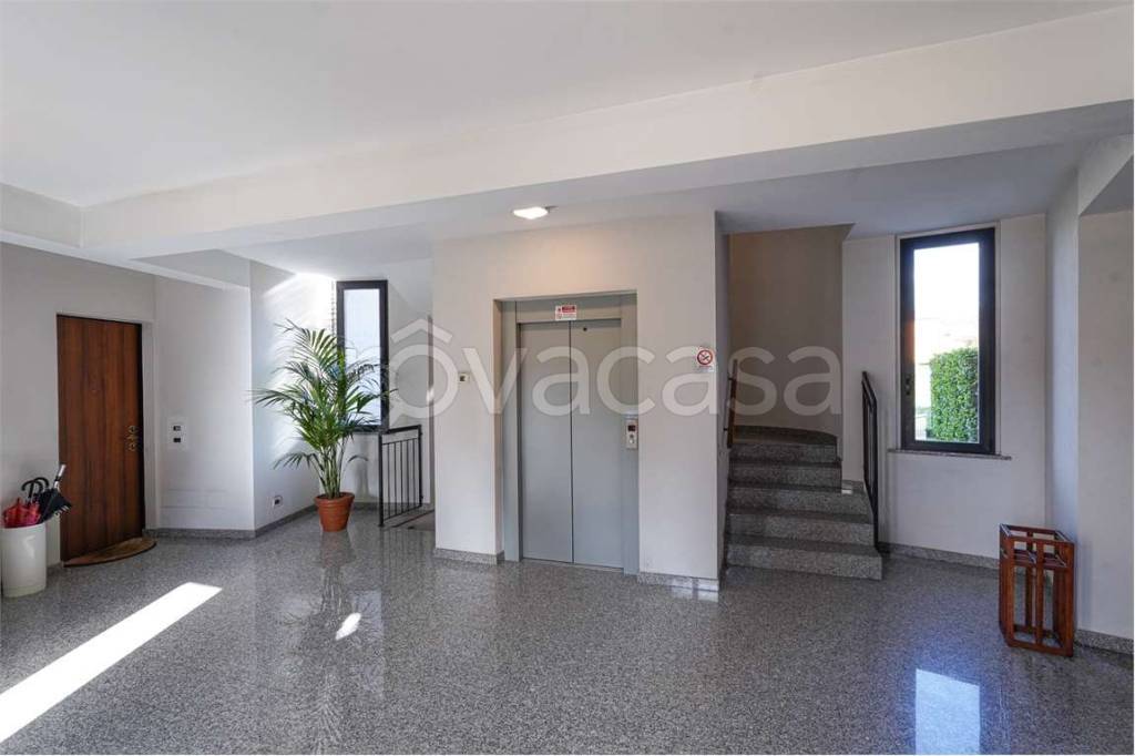 immagine annuncio 12 di 14