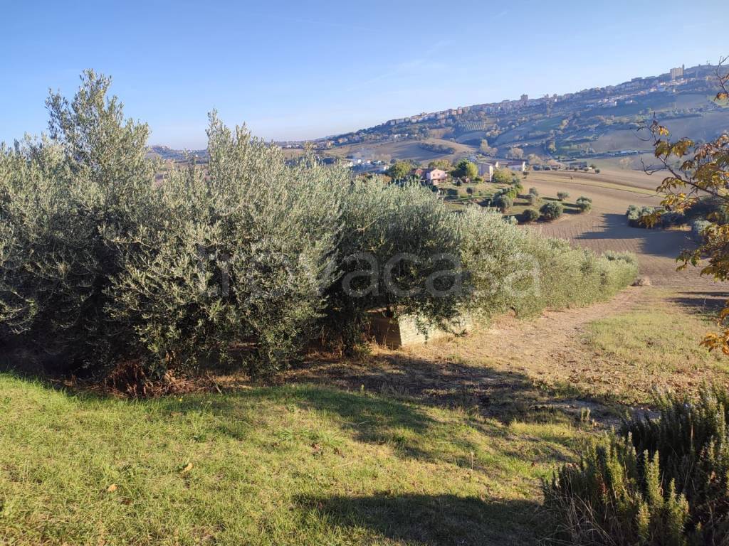 immagine annuncio 9 di 11