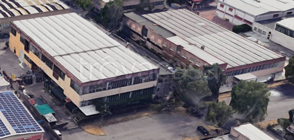 immagine annuncio 7 di 10