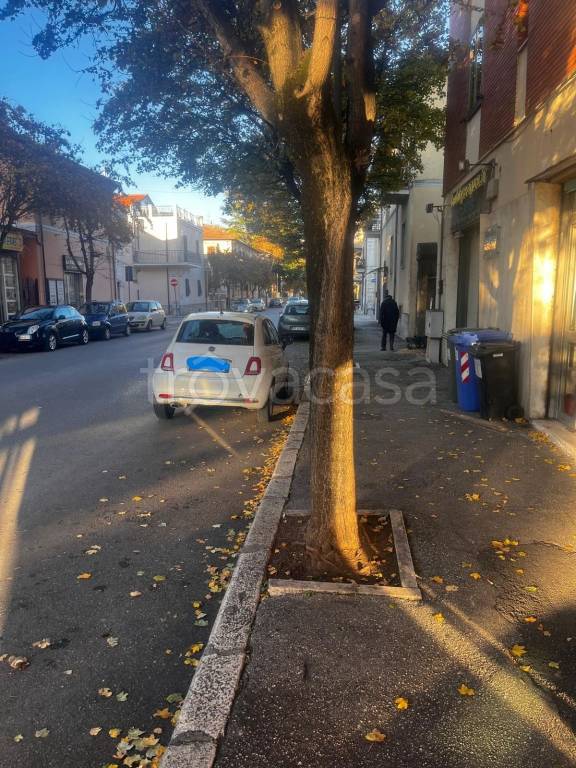 immagine annuncio 5 di 6