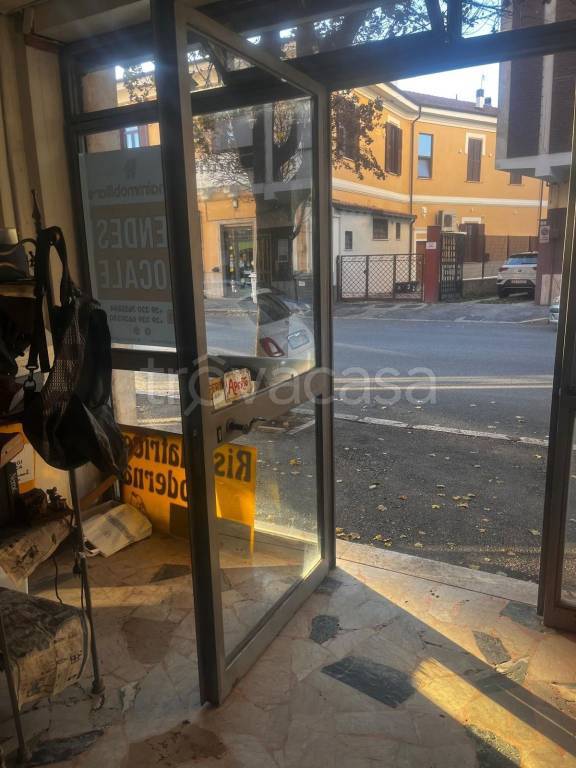 immagine annuncio 2 di 6