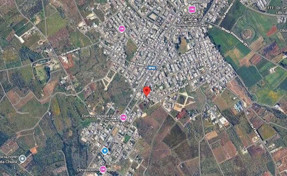 immagine annuncio 7 di 12