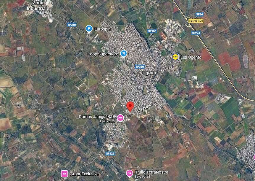 immagine annuncio 8 di 12